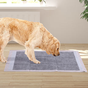 PaWz 400 Pcs 60x60cm Charcoal Pet Puppy Dog Toilet Training Pads Ultra Absorbent