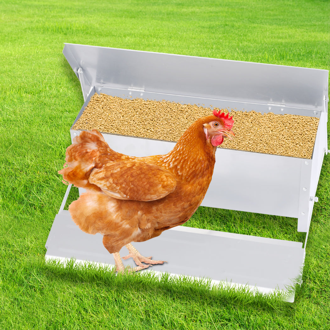 Automatic Chicken Feeder Self Open Poultry Alumnium Treadle 10KG Capacity Outdoor