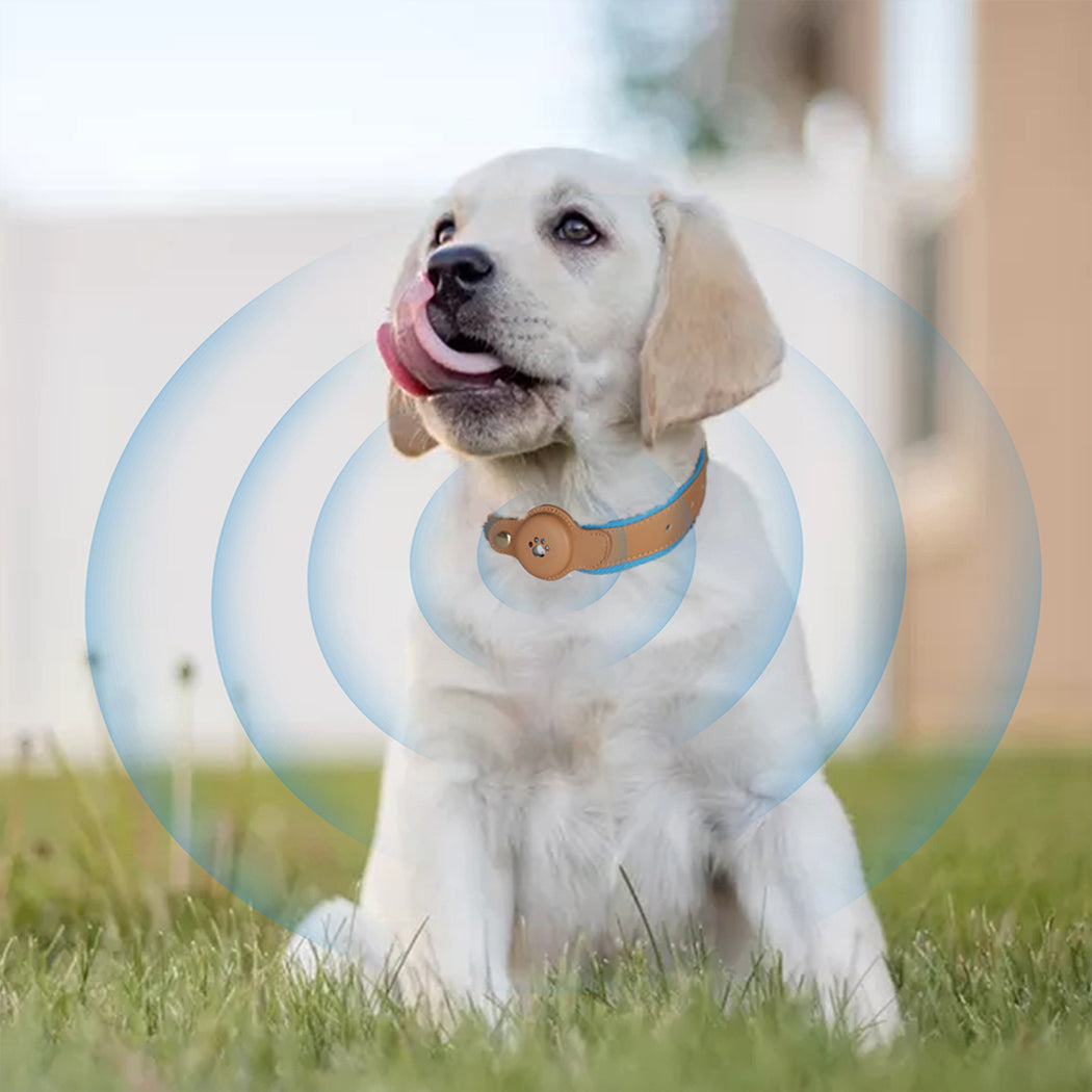 PaWz Bluetooth Pet Tracker Collar Anti-lost Locator Smart Waterproof 120m Blue